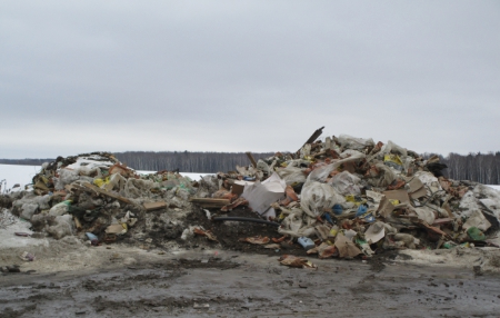 В Домодедово убрано более 14 кубов мусора