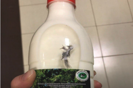 Птичье перо с навозом в бутылке с домодедовским молоком