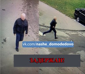 В Домодедово задержан подозреваемый, который тащил девочку за гаражи