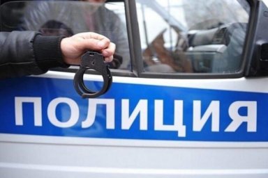 ​Кражу телефона раскрыли полицейские в Домодедово