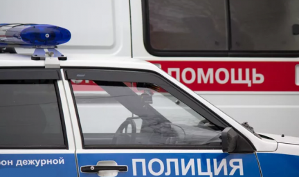 ​В Домодедово задержали подозреваемого в убийстве мужчины