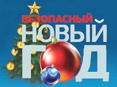 УМВД России по г.о. Домодедово проводит мероприятия по подготовке к новогодним и рождественским праз