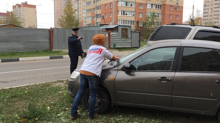 Госадмтехнадзор провел флеш-моб «Спасти газон» в Домодедово
