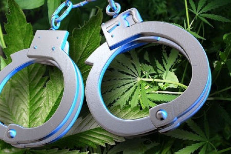 Жителя Ступинского района задержали за продажу марихуаны