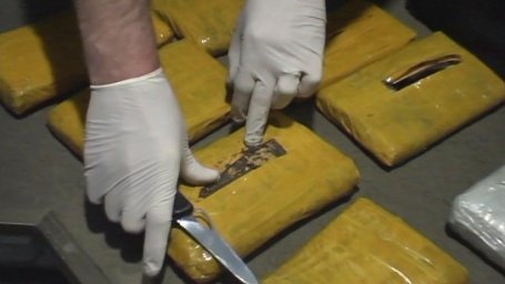 ​Более 15 кг наркотиков обнаружили полицейские у водителя в Домодедово
