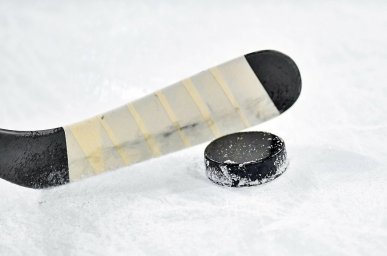 В Домодедово появятся три современные хоккейные коробки