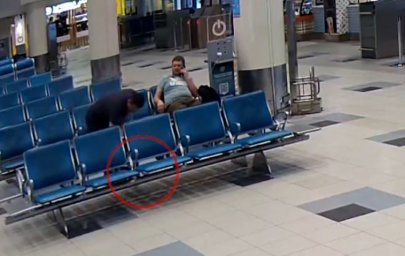 Транспортные полицейские в аэропорту Домодедово раскрыли кражу личных вещей у пассажирки