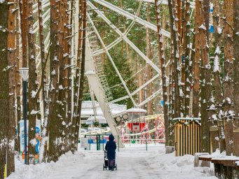 ​Парк «Ёлочки» в Домодедово готовится праздновать свой юбилей