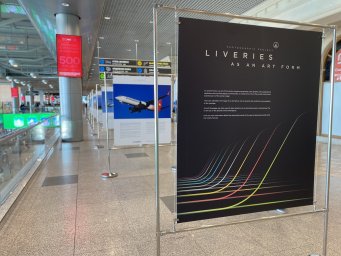 ​Пассажиры Домодедово создали свои уникальные авиационные ливреи в аэропорту