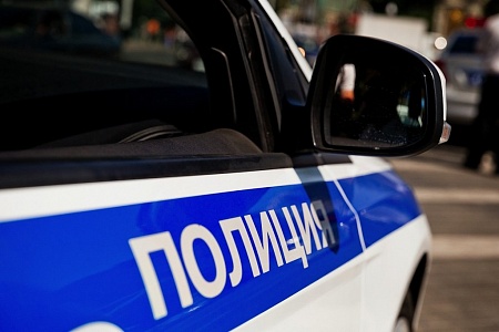 В Домодедово задержан мужчина, находящийся в федеральном розыске