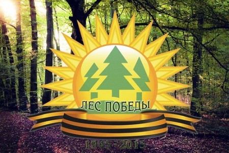 В Домодедово пройдет акция «Лес Победы»