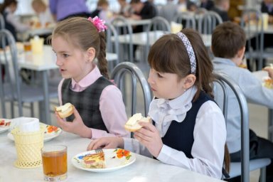 В Домодедове родители смогут самостоятельно оценить качество школьного питания