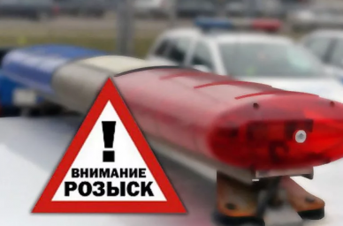 В Домодедово разыскивают водителя сбившего пешехода