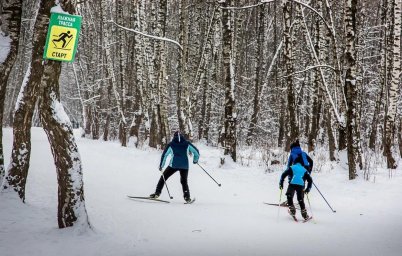 ​ Трассы для лыжников в лесопарке «Городской лес»