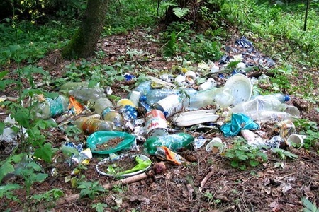 Более 150 свалок мусора выявлено в Домодедово