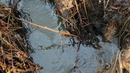 ​Минэкологии потребовало устранить опасность загрязнения рек в Домодедово