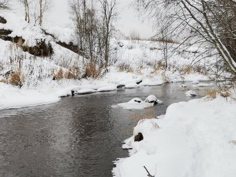 Домодедовская компания уличена в загрязнении реки