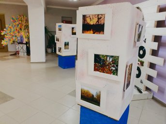 Выставка мобильной фотографии открылась в Домодедове