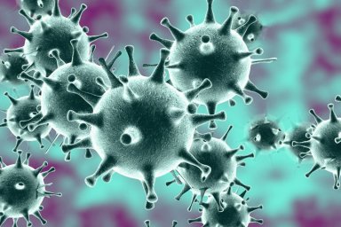 В Домодедово за сутки выявили еще 14 новых случаев заражения коронавирусом