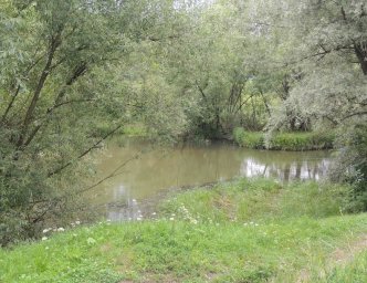 В Домодедово неизвестные сливали сточные воды в реку