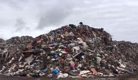 ​Губернатор Московской области дал 2 недели решить проблему с мусором