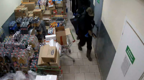 В Домодедово задержали участников группы, подозреваемых в совершении 10 краж (Видео)