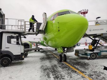 Аэропорт Домодедово и S7 первыми в России запустили сортировку мусора на пассажирских рейсах