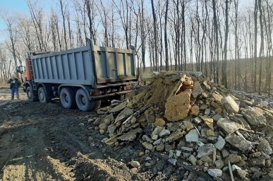 В Домодедово поймали нарушителей сбрасывавших строительный мусор в лесу