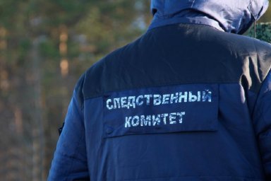 ​Расчлененный труп в сумках обнаружили в Домодедово
