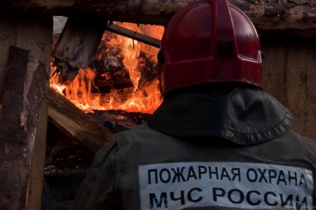 В Домодедово сгорели автомобиль и сарай