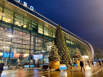 ​Собчак назвала аэропорт Домодедово отвратительной помойкой