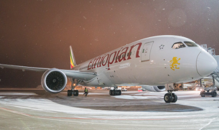 В аэропорт Домодедово зашла новая авиакомпания Ethiopian Airlines