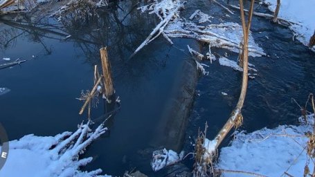 В Домодедово выявлен очередной загрязнитель реки
