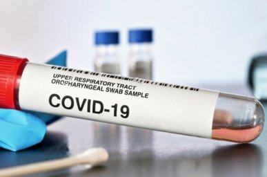 263 случая коронавируса выявили в Домодедове за сутки