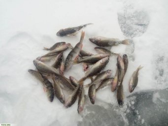 ​Сезон зимней рыбалки в Домодедово закрыт