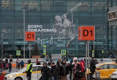 У пассажира аэропорта Домодедово таможенники обнаружили гашиш