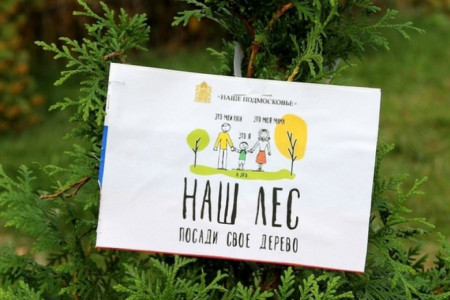 В Домодедово акция «Наш лес. Посади свое дерево» пройдет на 23 площадках
