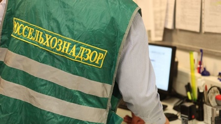 В аэропорту Домодедово Россельхознадзором был задержан груз с рептилиями