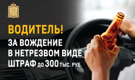 Домодедовская Госавтоинспекция проведет «сплошные» проверки водителей на состояние опьянения