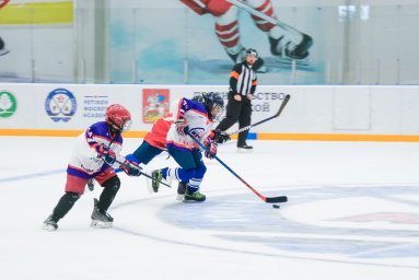 В Домодедово открыла сезон хоккейная академия Фетисова