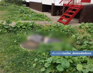 В Домодедово два человека в течении дня выпали из окна