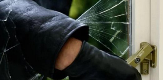 ​Полицейские в Домодедово раскрыли серию краж в садовом товариществе