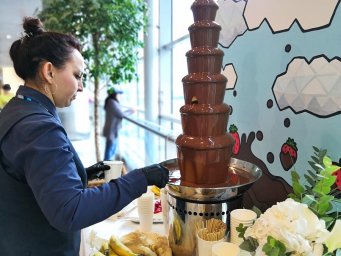 ​В аэропорту Домодедово отметят всемирный день шоколада