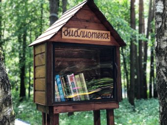 Мини-библиотека в домодедовском парке