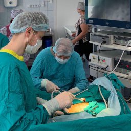 В Домодедово врачи выполнили сложную лапароскопическую операцию