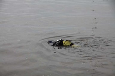 ​В Домодедово утонул подросток