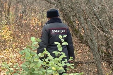 В Домодедово нашли скелетированные останки мужчины в шалаше