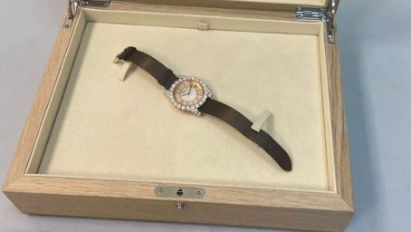 ​В Домодедово у пассажирки нашли незадекларированные часы с бриллиантами