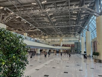 Первые итоги работы нового сегмента пассажирского терминала аэропорта Домодедово