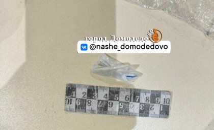 В аэропорту Домодедово задержали пассажира с наркотическими средствами